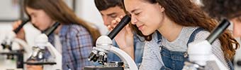 Schülerinnen und Schüler forschen Schülerinnen und Schüler forschen