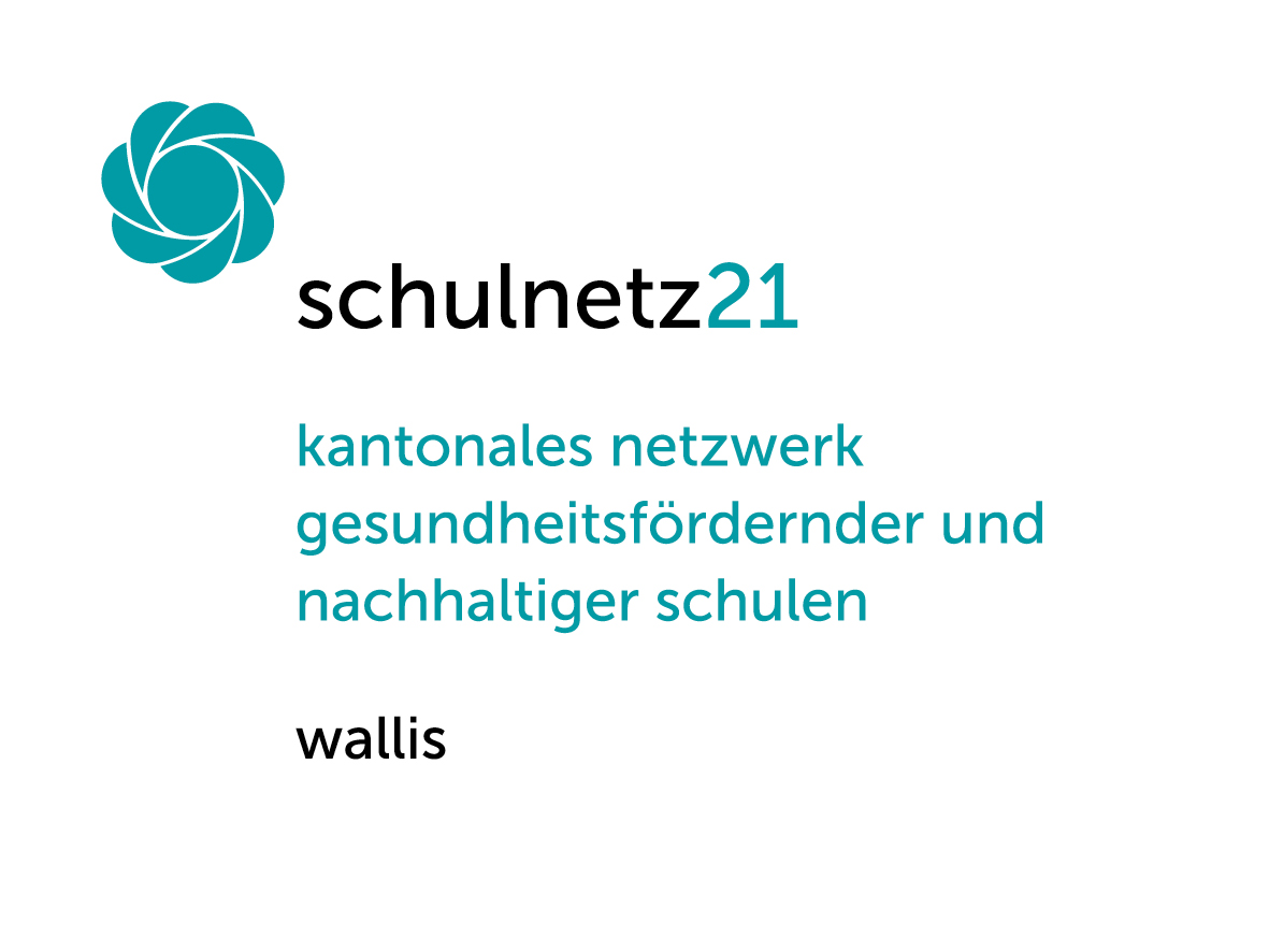 Logo des Walliser Netzwerks