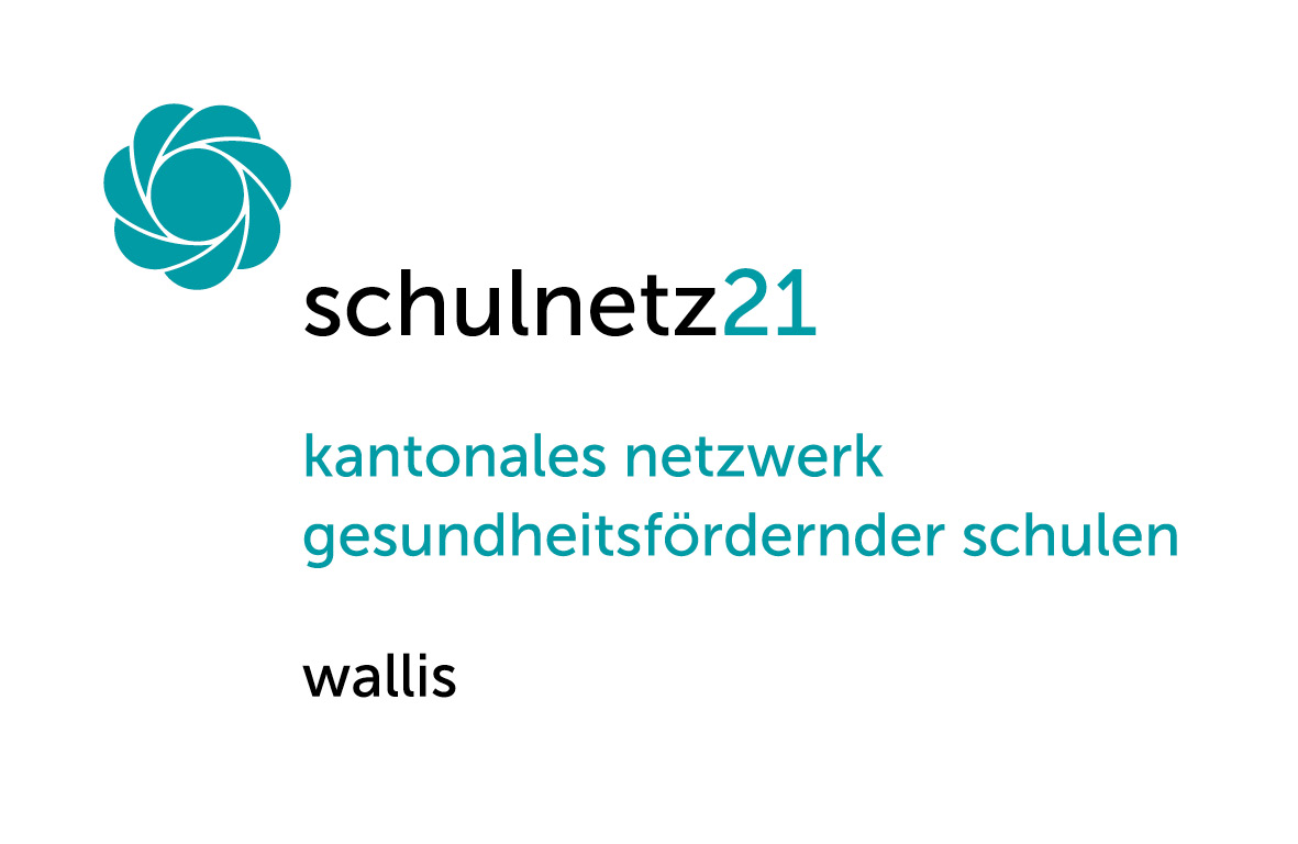 sn21_logo_wallis_rz.jpg